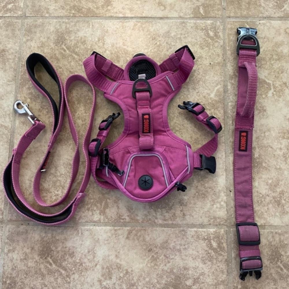 Dog harness set